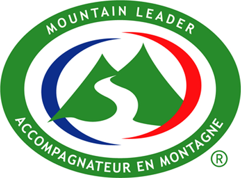 Logo mountain couleur