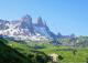 Dans l'alpage au pied des Aiguilles d'Arves