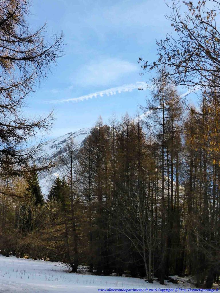 Le Mont Emy depuis le mélezin d'Albiez le Jeune