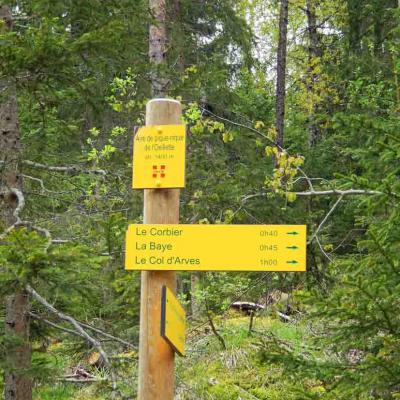 S'orienté, lire une carte, GPS, boussole en montagne