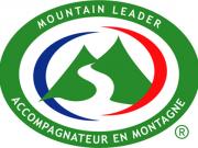 Logo mountain couleur