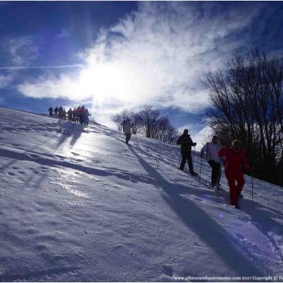 Les traces des animaux de montagne, vendredi