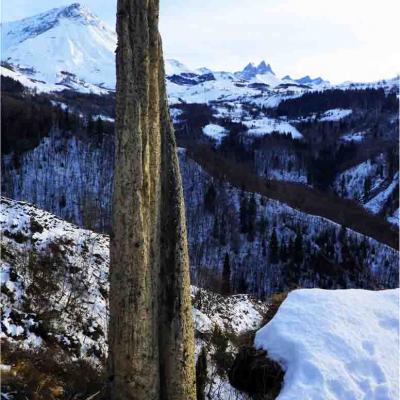 Chasse aux fossiles, petite marche / Mercredi