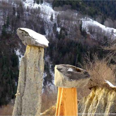 Chasse aux fossiles, petite marche / Mercredi