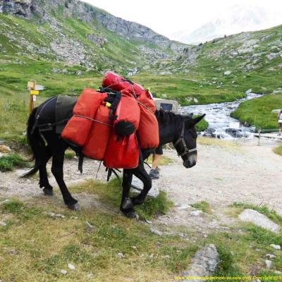 Tour des Aiguilles d'Arves® 8 jours