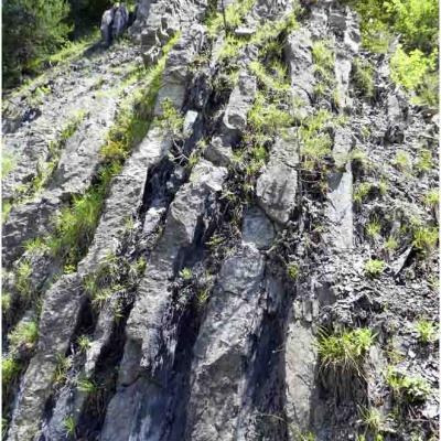 Chasseur de cristaux des Aiguilles d'Arves