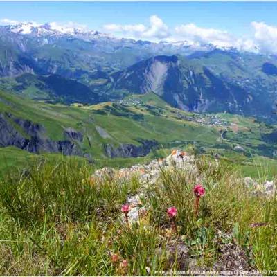 Chasseur de cristaux des Aiguilles d'Arves