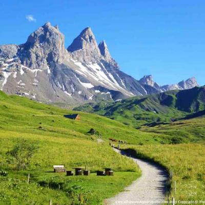 Fondue en alpage au soleil, petite marche / tous les jours