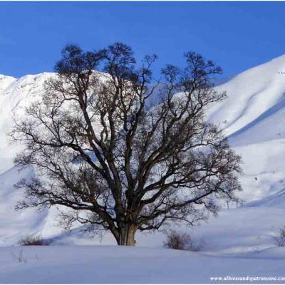 Les traces des animaux de montagne, vendredi