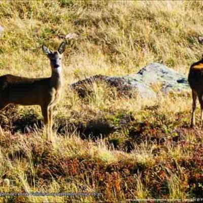 Rando automne montagne mille couleurs