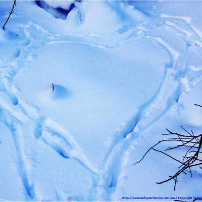 Les traces des animaux de montagne, vendredi