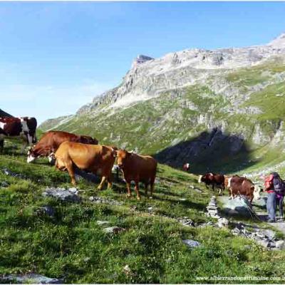 Rando Tour d'entre deux Eaux - Vanoise 5 jours