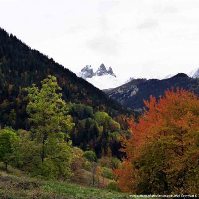 Plein d'énergie avec un arbre / Mercredi